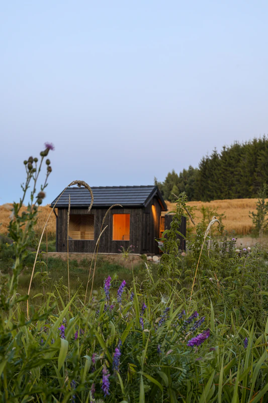 Domek sauny Salinko o zmierzchu z oświetlonymi oknami