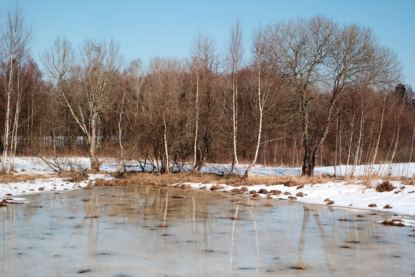 Zimowy pejzaż nad wodą — okolice Salinka, północne Kaszuby